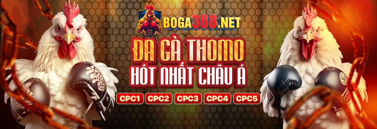 Jackpot và Khuyến mãi fabet link